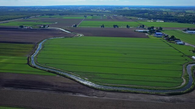 Aerial view of agricultural farms and crops fields. Agricultural landscapes from above. Soil with planted vegetables. Planting rows of crops for harvesting. Designated Specialty Crop Area.