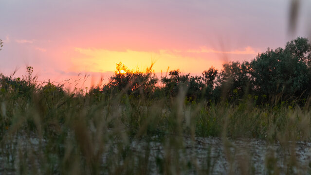 A red and blue sky and the sun in olive trees. The golden, red and blue hour of the sunrise seclusion of early morning and evening. Beautiful summer meditation. Melody of the southern tropic desert.