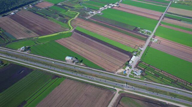 Holland Marsh is known as the heart of Canada's vegetable industry. It produces carrots onions celery lettuce potatoes parsnips cabbage cauliflower beets and a wide variety of Asian vegetables.