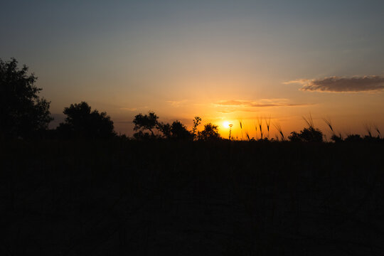 A red and blue sky and the sun in olive trees. The golden, red and blue hour of the sunrise seclusion of early morning and evening. Beautiful summer meditation. Melody of the southern tropic desert.