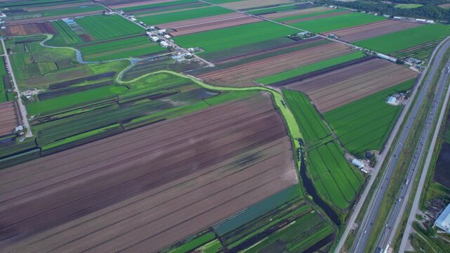 Holland Marsh is known as the heart of Canada's vegetable industry. It produces carrots onions celery lettuce potatoes parsnips cabbage cauliflower beets and a wide variety of Asian vegetables.