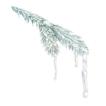 A frozen Fir Branch with Icicles. Watercolor illustration of an outdoor Christmas tree. Hand drawn sketch on white isolated background. Water color painting art. Transparent ice and evergreen branch