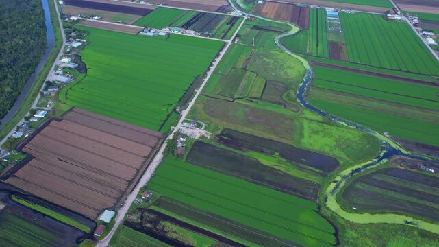 Aerial view of agricultural farms and crops fields. Agricultural landscapes from above. Soil with planted vegetables. Planting rows of crops for harvesting. Designated Specialty Crop Area.