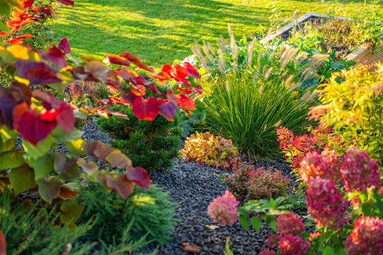 Ornamental grass and shrubs in a gravel garden bed