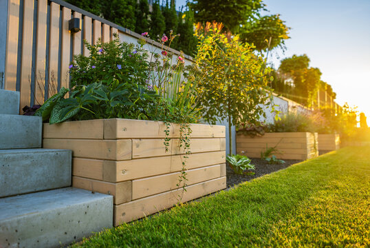 Wooden planters beside concrete garden steps