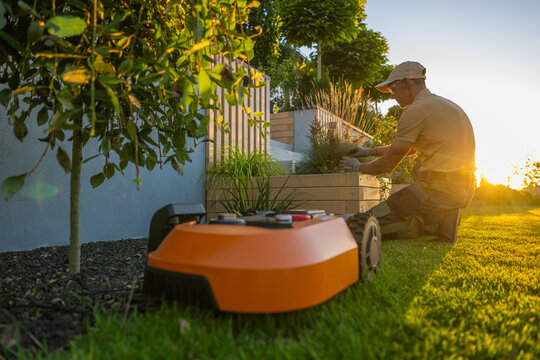 Gardener and robotic lawn mower beside a raised bed
