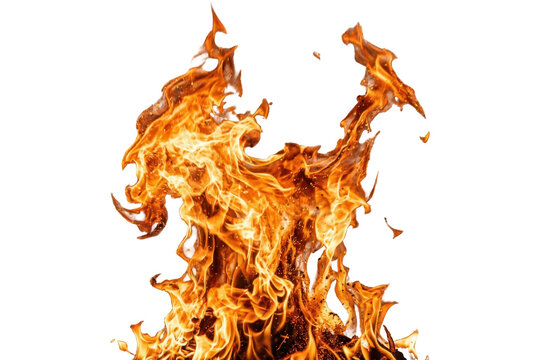Bright orange flame tongues rising against a solid black background