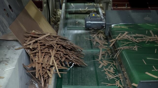 Industrial conveyor with stacked cardboard strips and scattered scrap inside factory machinery, viewed close from above with dim light, worn metal surfaces, green belt, and gritty production workflow