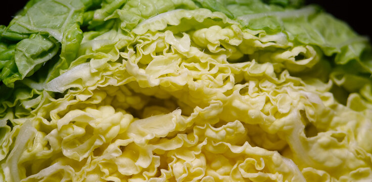 Close up of chinese lettuce usually used in making kimchi