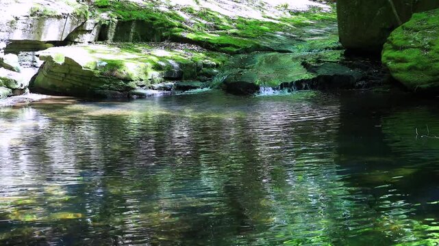 4K UHD Tilt Down Shot of Reflective Stream in Akame 48 Waterfalls Japan No Audio