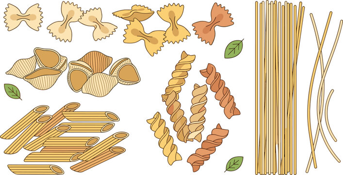 Italian pasta vector illustration set featuring various shapes including spaghetti penne fusilli farfalle and conchiglie shell noodles with basil leaves