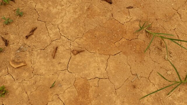Dry and deeply cracked soil during the dry season, showing a parched ground surface caused by prolonged lack of moisture. The natural texture highlights drought conditions and dry environmental landsc