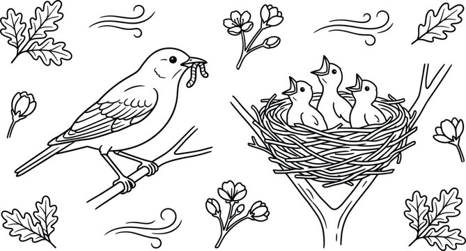 Mother bird feeding chicks in nest with worm oak leaves and spring flowers vector line art illustration