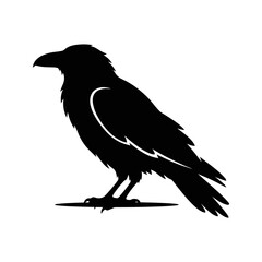 Fototapeta premium Vector silhouette of raven perched on a branch halloween