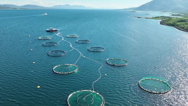 Aerial of a fish farm in one of the many Fjords along the coast of Norway