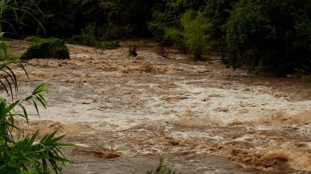 Rushing turbulent muddy waterfall and forest river rapid after overnight heavy rainstorm