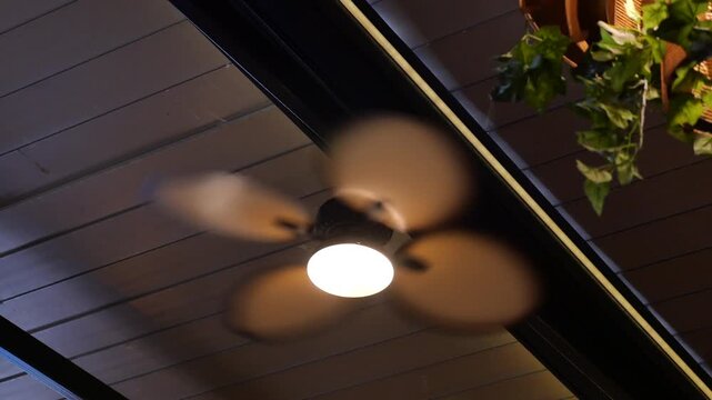 Ceiling fan with light spinning on a wooden slatted ceiling in a restaurant interior setting