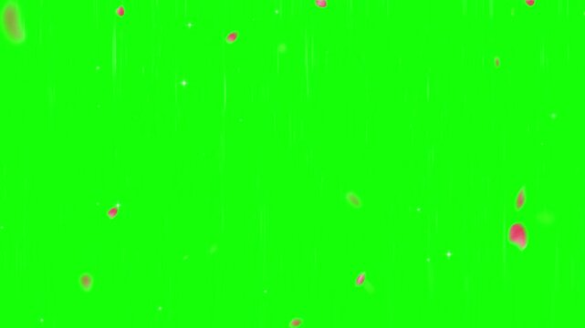 water drops on green