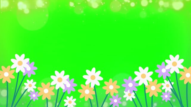 spring background with flowers