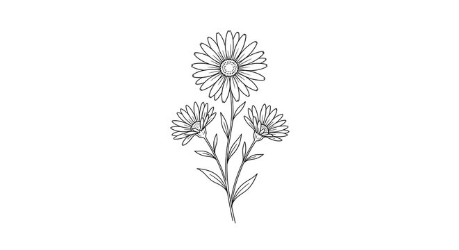 Minimalist line drawing of three stylized daisy flowers with slender stems in white on transparent background