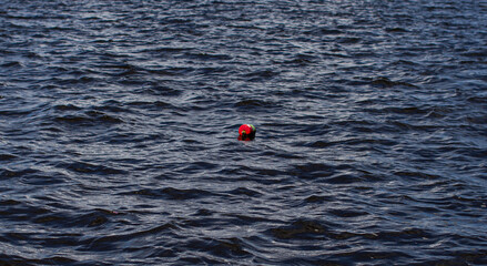 red buoy on the sea © Robby