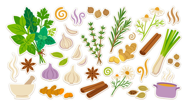 Set of fresh culinary herbs, fragrant spices, aromatic ingredients, kitchen aromatics for healthy cooking, culinary seasoning, flavor enhancement