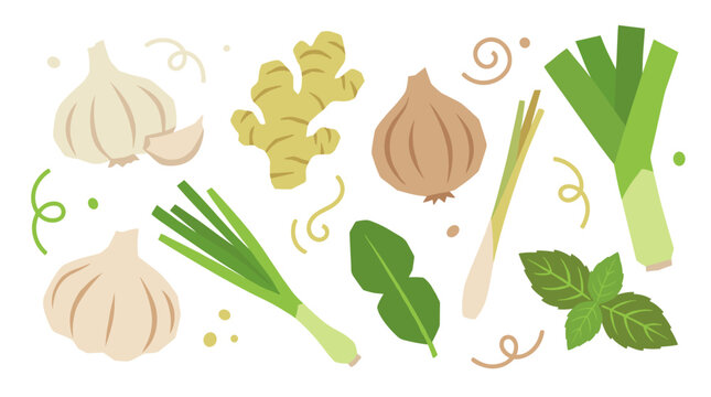Set of fresh culinary herbs and aromatics, including garlic, ginger, onion, scallion, and basil, perfect for cooking recipes and menu design