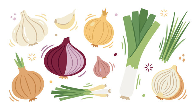Assorted fresh onions, garlic, leeks and chives vegetable collection, organic farm harvest ingredients, healthy cooking herbs and aromatics elements