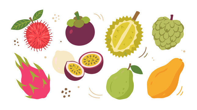 Set of exotic tropical fruits including durian, rambutan, dragon fruit, and passion fruit, vibrant flat vector illustration for food menus