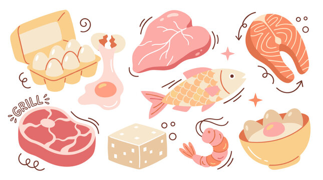 Set of fresh protein food illustrations featuring meat steak, salmon fillet, eggs, tofu and shrimp, flat vector elements for restaurant menu design