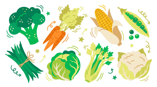 Set of fresh vegetables including broccoli, carrots, corn, peas, cabbage, and celery, vibrant food illustrations for healthy diet and nutrition
