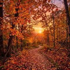 Fototapeta premium Vibrant autumn forest landscape featuring a winding path covered in fallen leaves under a glowing sunset and sunbeams