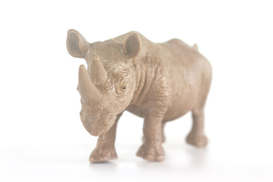 Toy rhino figurine front view walking towards camera on white