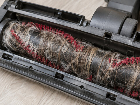 Tangled hair wrapped around vacuum brush roller close up