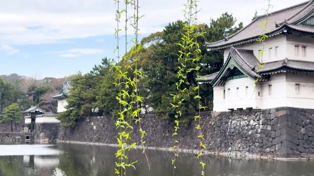 A serene view of the imperial palace in tokyo, japan with a gentle breeze rustling the willow tree, showcasing traditional Japanese architecture and tranquil waters.