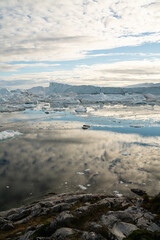 Iceberg and ice from glacier in arctic nature landscape on Greenland. Aerial photo drone photo of icebergs in Ilulissat icefjord. Affected by climate change and global warming © Maridav