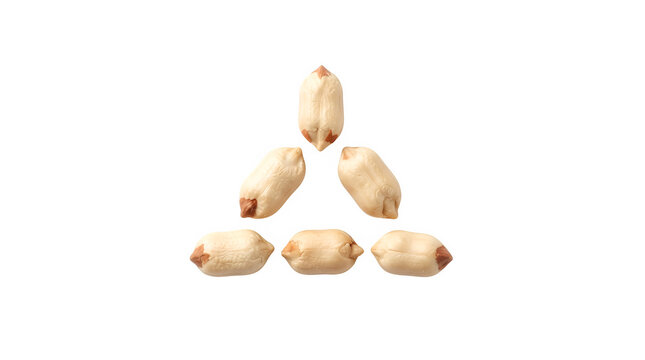 Raw peeled peanuts arranged in a triangle shape, group of six shelled peanut kernels on white background, organic legume seeds for food packaging