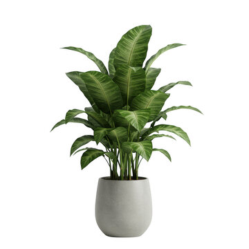 Photorealistic high end 3d cgi render of lush tropical foliage plant in pot isolated on dark background for premium graphic design