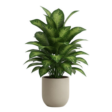 Photorealistic high end 3d cgi render of beautiful green houseplant in terracotta clay pot isolated on dark background for premium graphic design