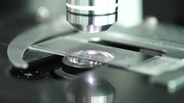 Microscope Adjustment Lens Glass Slide Laboratory Research Close Up Korea 현미경 조절 나사 대물렌즈 슬라이드 글라스 실험실 연구 클로즈업 한국