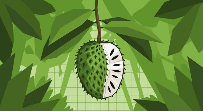 Exotic Soursop Fruit Hanging from Branch with Green Leaves, Half Peeled