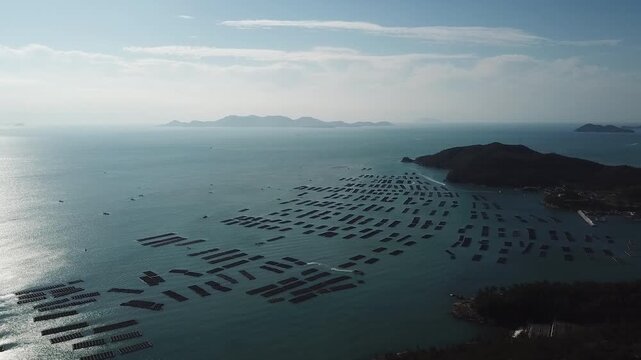 Abalone Abalone Farm Fresh Abalone Seafood Raw Abalone Shellfish Korea 전복 전복양식장 활전복 수산물 참전복 해산물 패류 식재료 한국