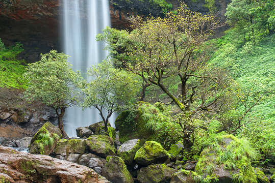 Vasundhara Waterfall, A massive, roaring, spectacular seasonal waterfall, Bhandardara, Maharashtra, India