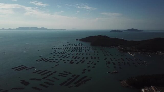 Abalone Abalone Farm Fresh Abalone Seafood Raw Abalone Shellfish Korea 전복 전복양식장 활전복 수산물 참전복 해산물 패류 식재료 한국