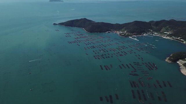 Abalone Abalone Farm Fresh Abalone Seafood Raw Abalone Shellfish Korea 전복 전복양식장 활전복 수산물 참전복 해산물 패류 식재료 한국