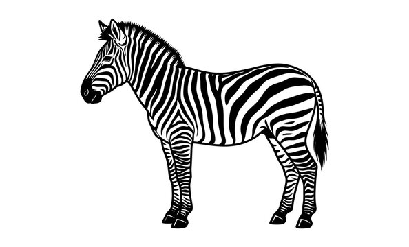 Minimalist Zebra Silhouette Graphic