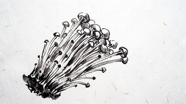 Black and white ink sketch illustration of enoki mushrooms with white background