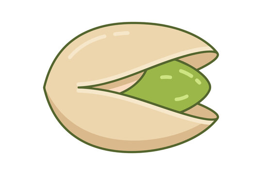 Pistachio Nut Vector Illustration