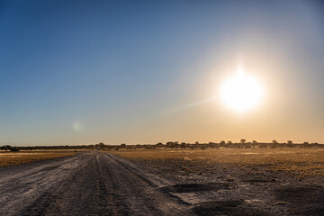 Obraz premium Sunset savanna scenery along the road in Deception, Central Kalahari Game Reserve, Botswana