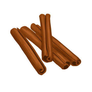 cinnamon vector art